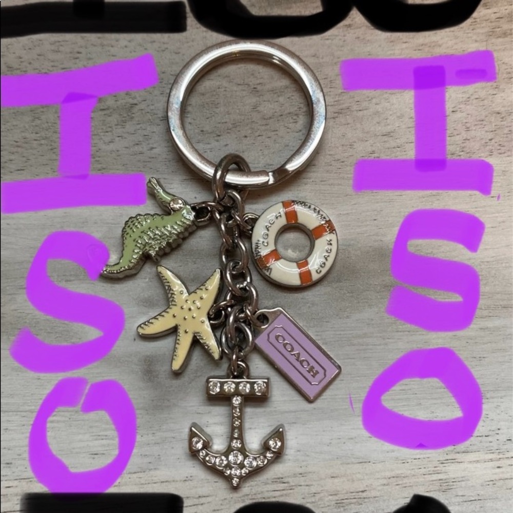 ISO of this COACH keychain ! I am in search of this reasonably priced please!